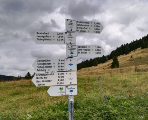Ausflug Herren 40