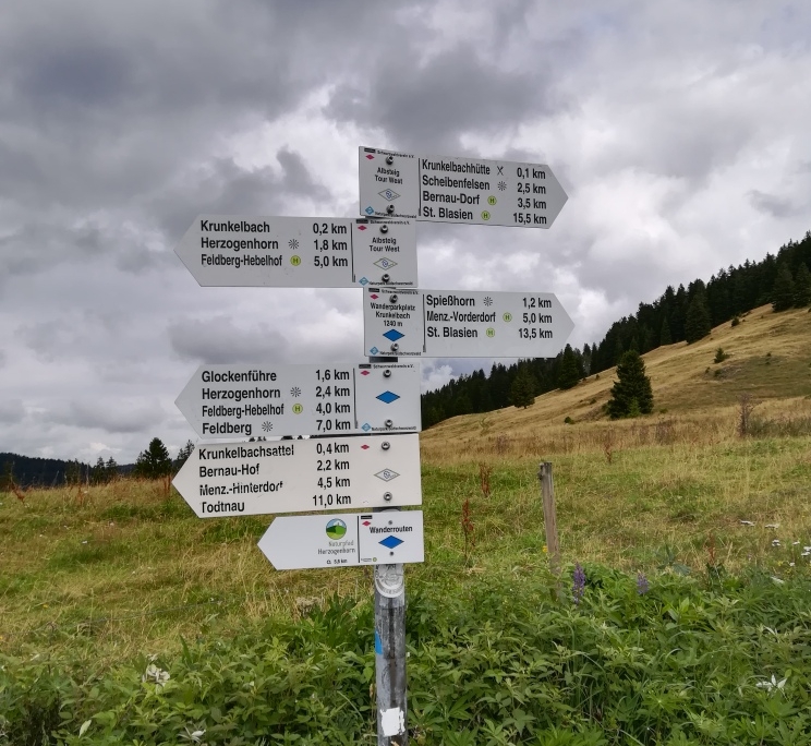 Ausflug Herren 40