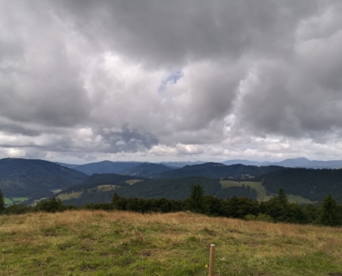 Ausflug Herren 40